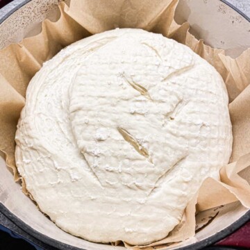 Best sourdough hydration for artisan bread is high hydration