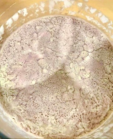 What Does Mold on Sourdough Starter Look Like? - Stretch and Folds