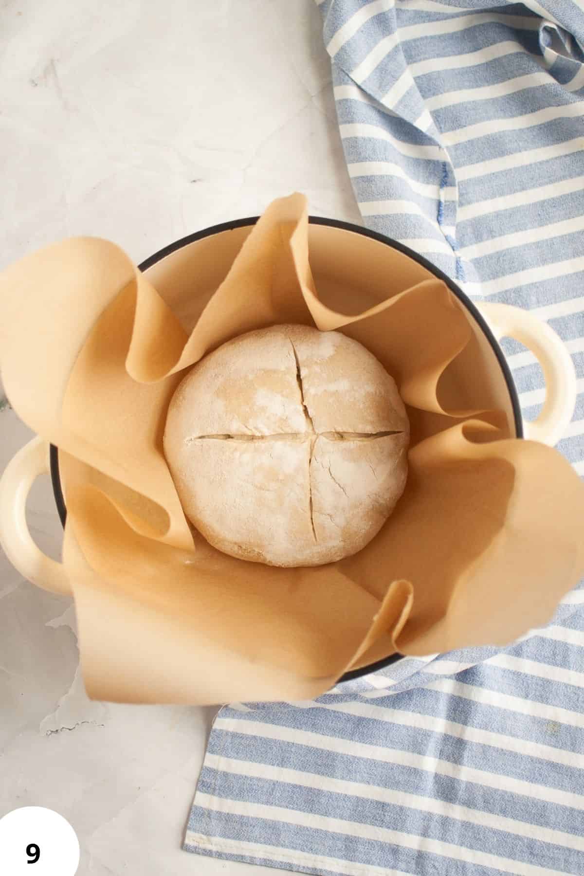 Freshly baked sourdough bread with stretch and folds technique, in a baking basket.