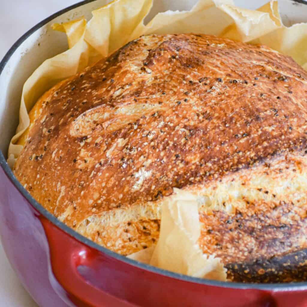 NoKnead Rustic Whole Wheat Sourdough Bread Recipe Stretch and Folds