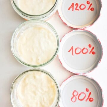 Three jars of sourdough starter.