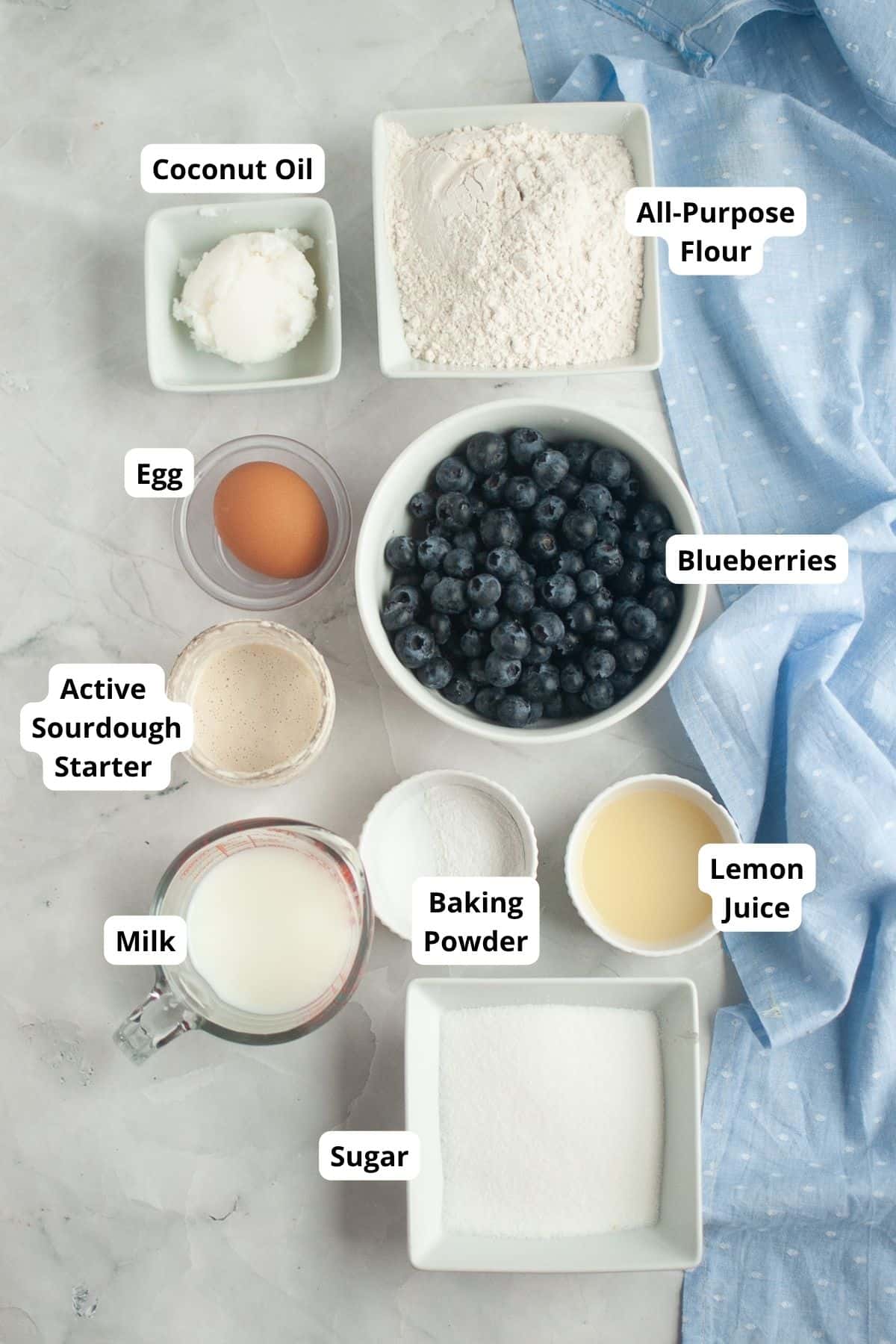 Ingredients for sourdough blueberry lemon quick bread with flour, blueberries, lemon juice, and sour.