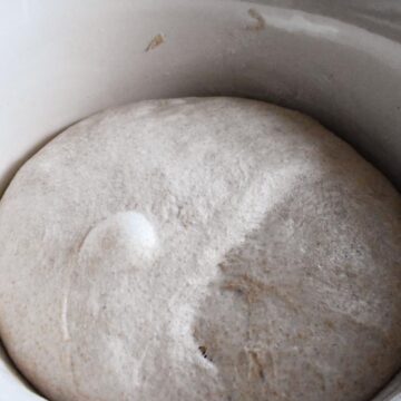 Sourdough bread dough during bulk fermentation.