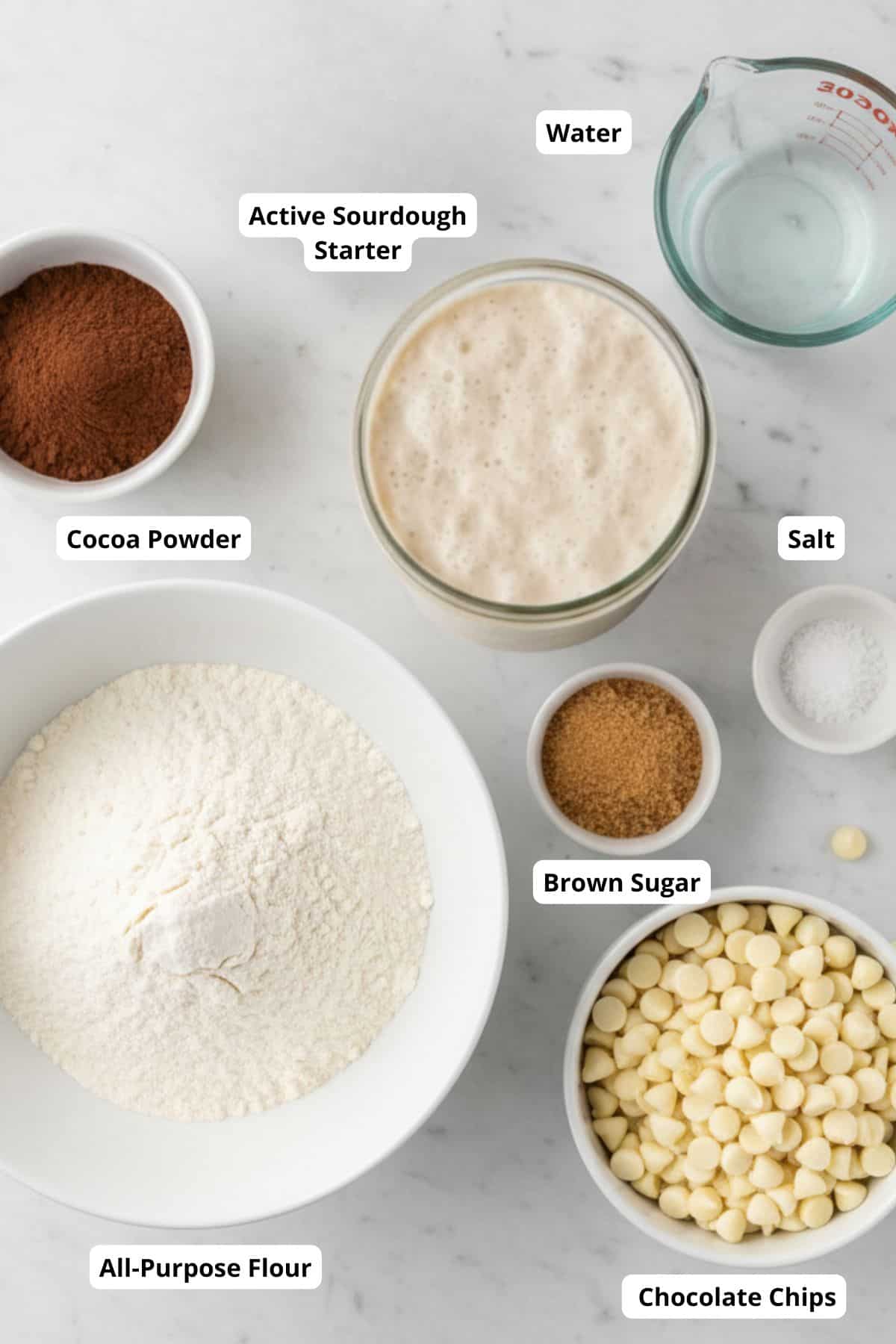 Ingredients for making the double chocolate sourdough bread with chocolate chips neatly arranged in a surface.