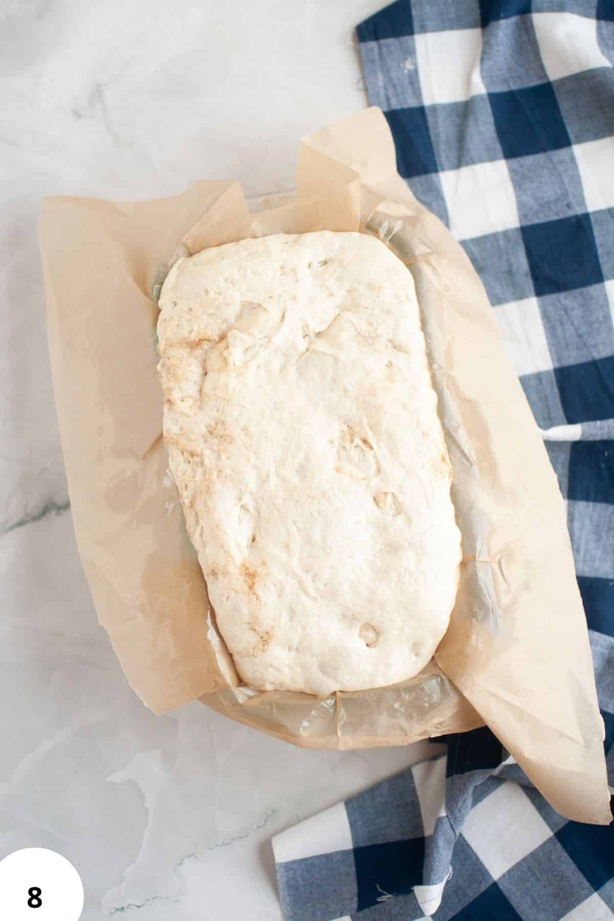 Fresh bread dough for stretch and folds on parchment paper.