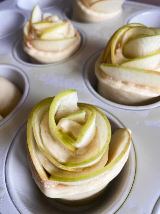 Sourdough Apple Cinnamon Roll Roses Recipe - Stretch and Folds