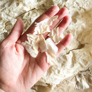 A woman's hand holding dried sourdough starter flakes.