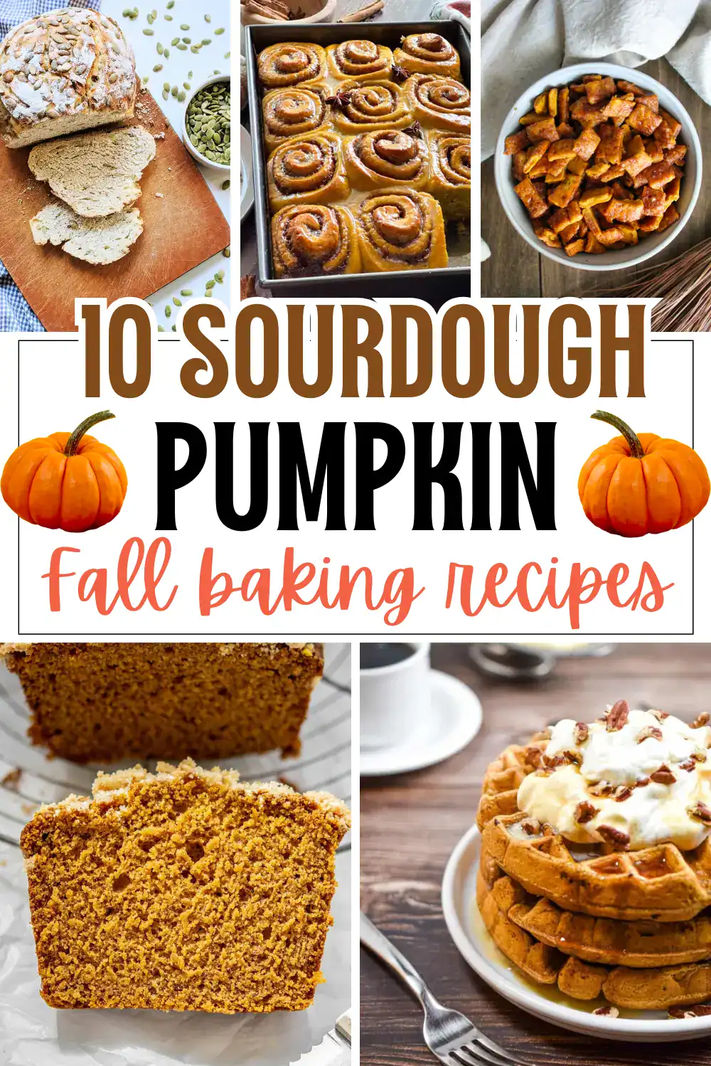 pumpkin sourdough recipes collection