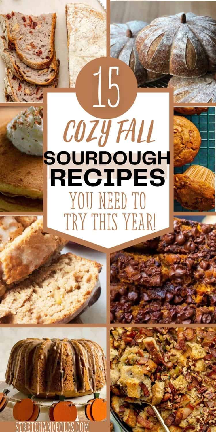 Pinnable image of sourdough fall recipes.
