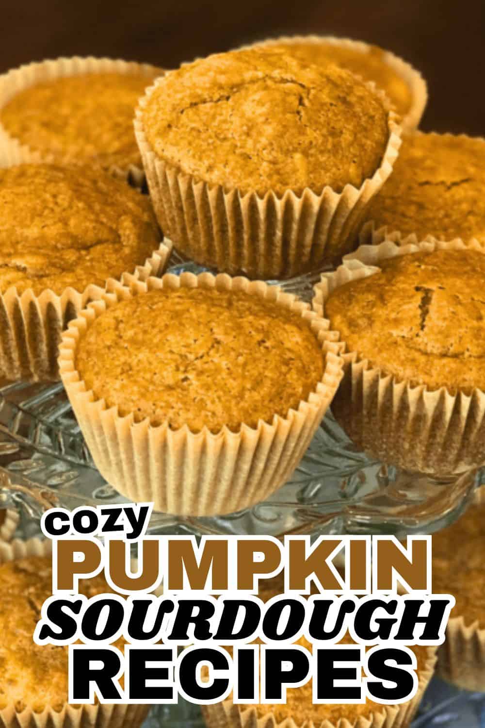 Freshly baked pumpkin sourdough muffins in paper liners on a wire rack.
