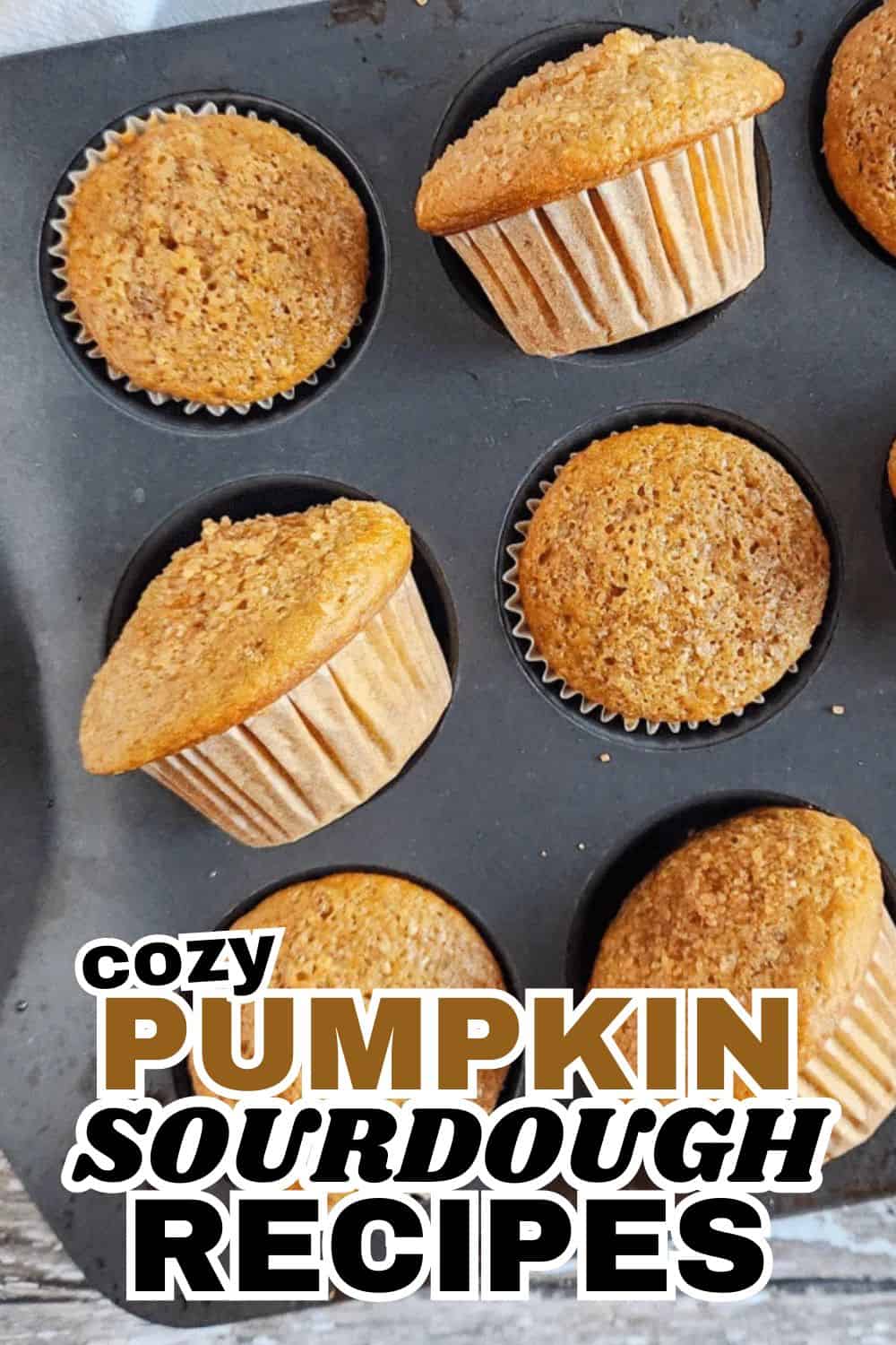Freshly baked pumpkin sourdough muffins in a muffin tin.