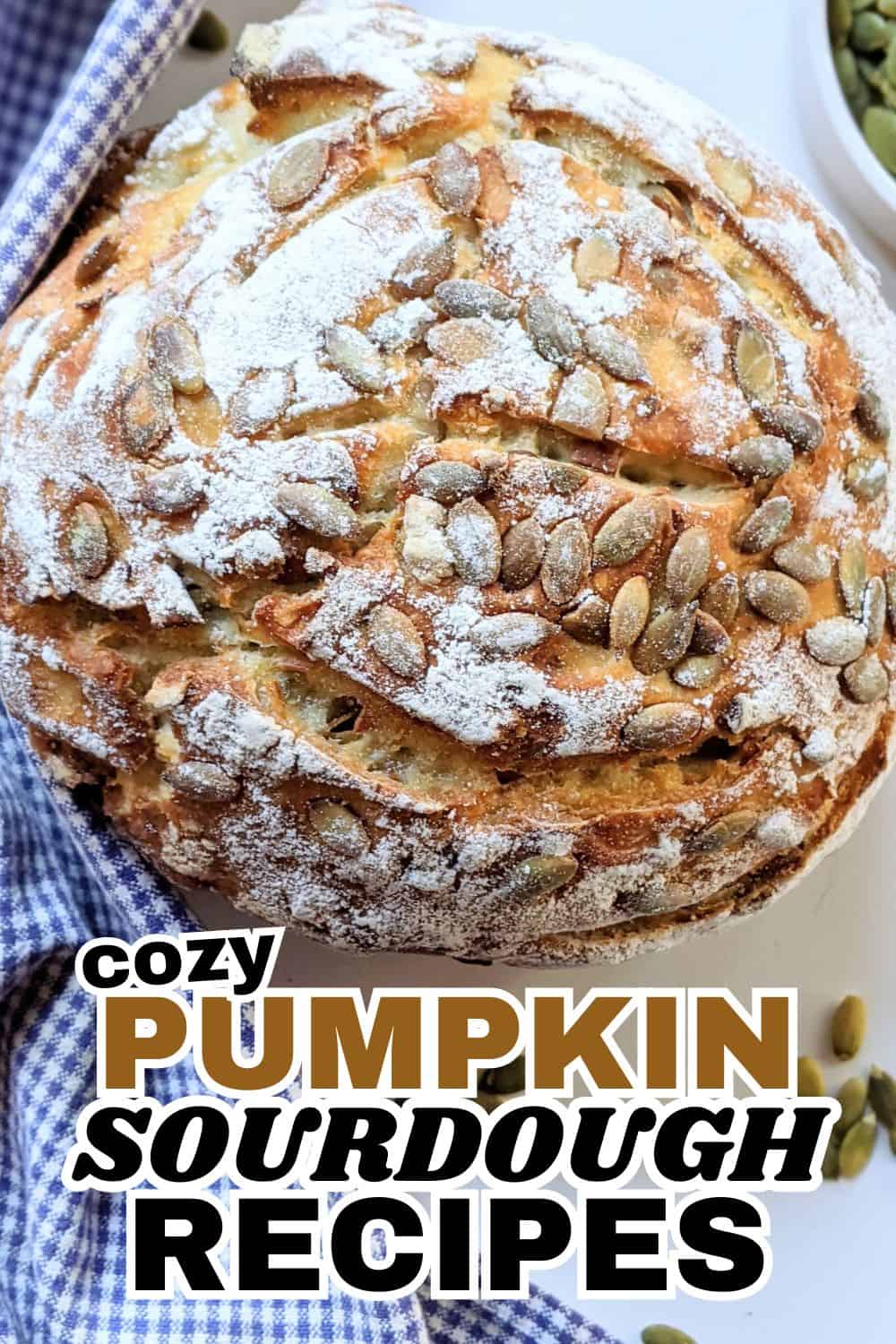 Fresh pumpkin sourdough bread topped with pumpkin seeds and powdered sugar.