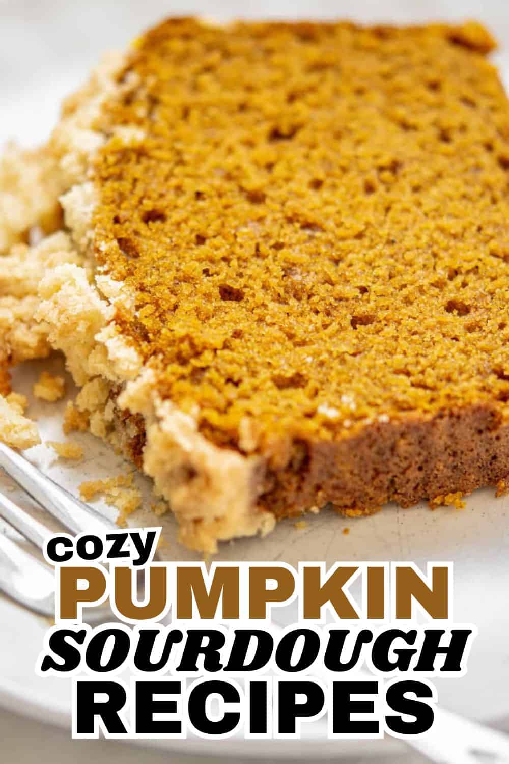Close-up of a pumpkin sourdough bread slice on a white plate.