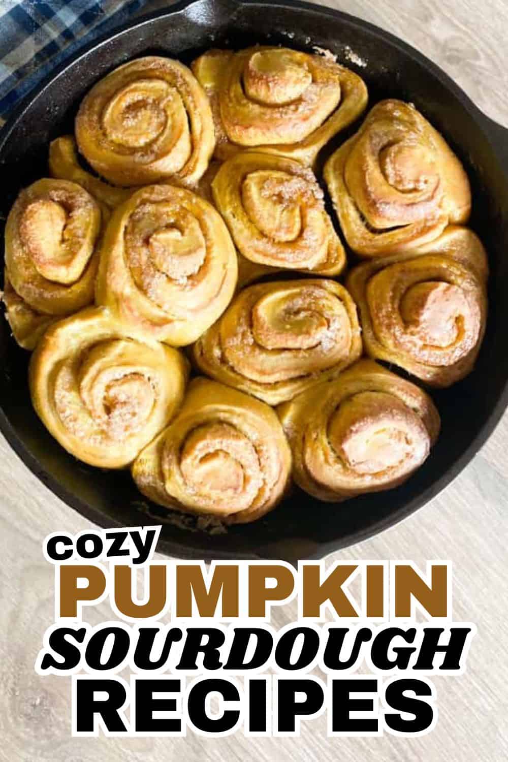 Freshly baked pumpkin sourdough rolls in a skillet, perfect for fall baking.