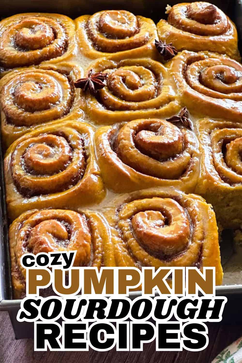 Freshly baked pumpkin sourdough cinnamon rolls with glaze and star anise.