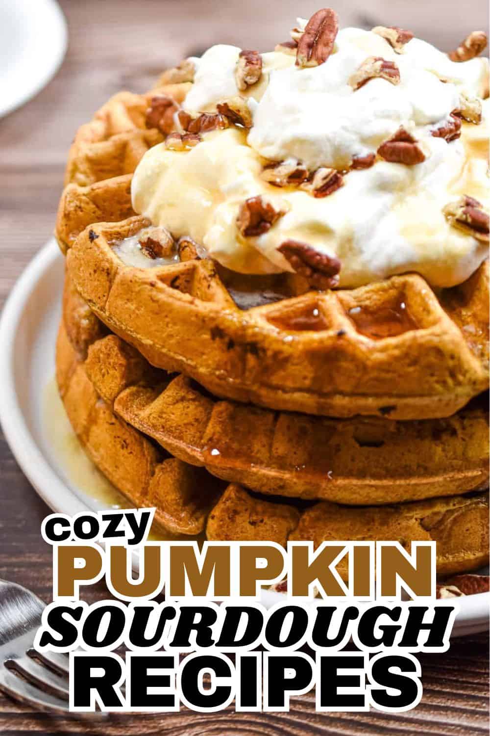 Close-up of pumpkin sourdough waffles topped with whipped cream and pecans.