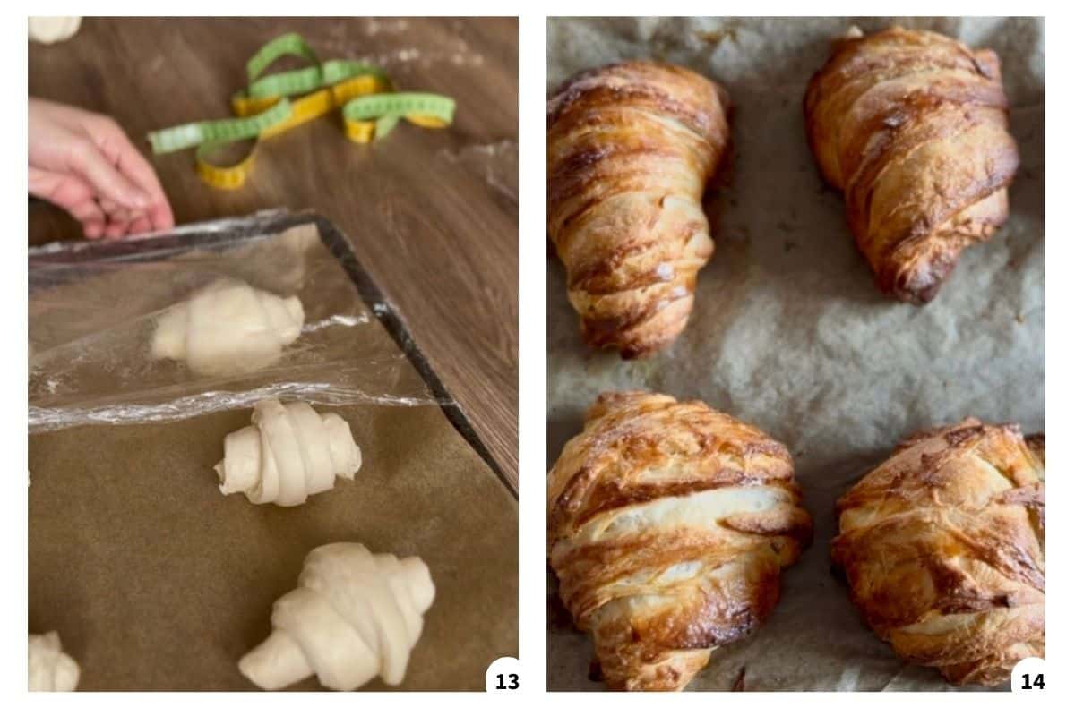 Unbaked croissants arranged on parchment paper, followed by freshly baked golden croissants.