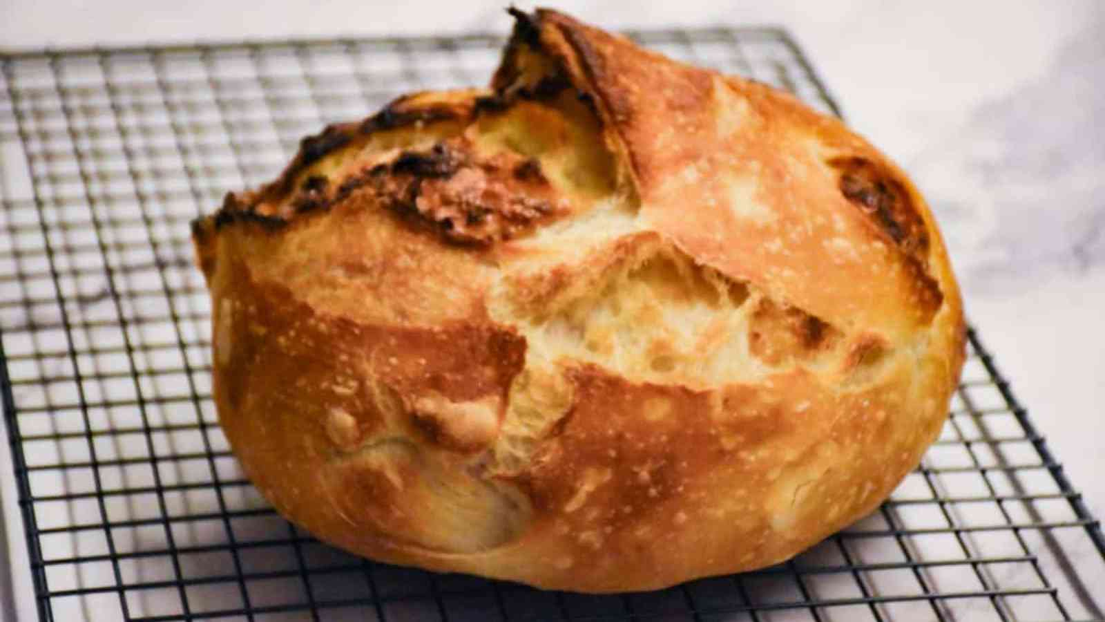 Sourdough bread With roasted garlic and parmesan cheese on a cooling tray.