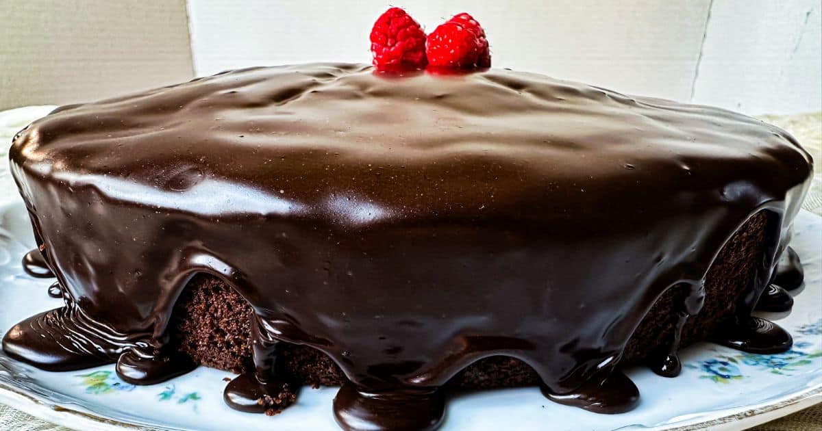 Rich Sourdough Chocolate Cake with Raspberries