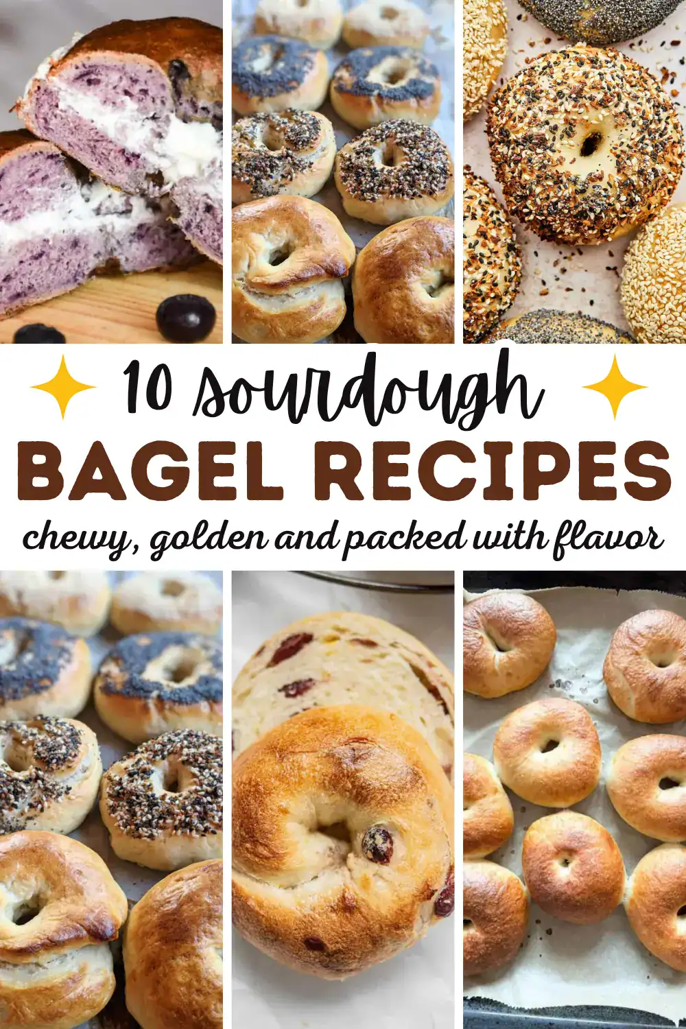 sourdough bagel recipes