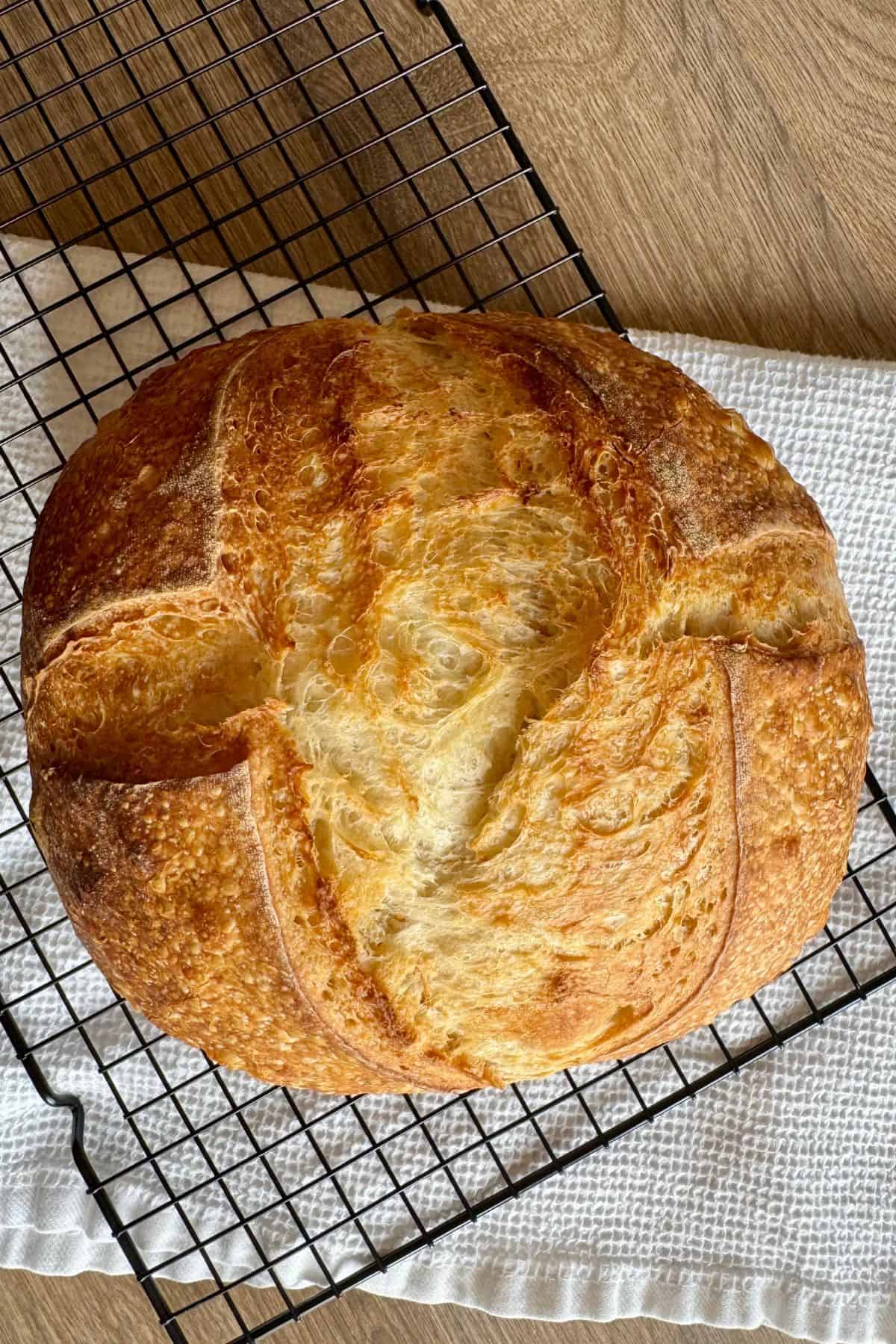 No Tools, no Dutch Oven Sourdough Bread 1200x1800 (3)