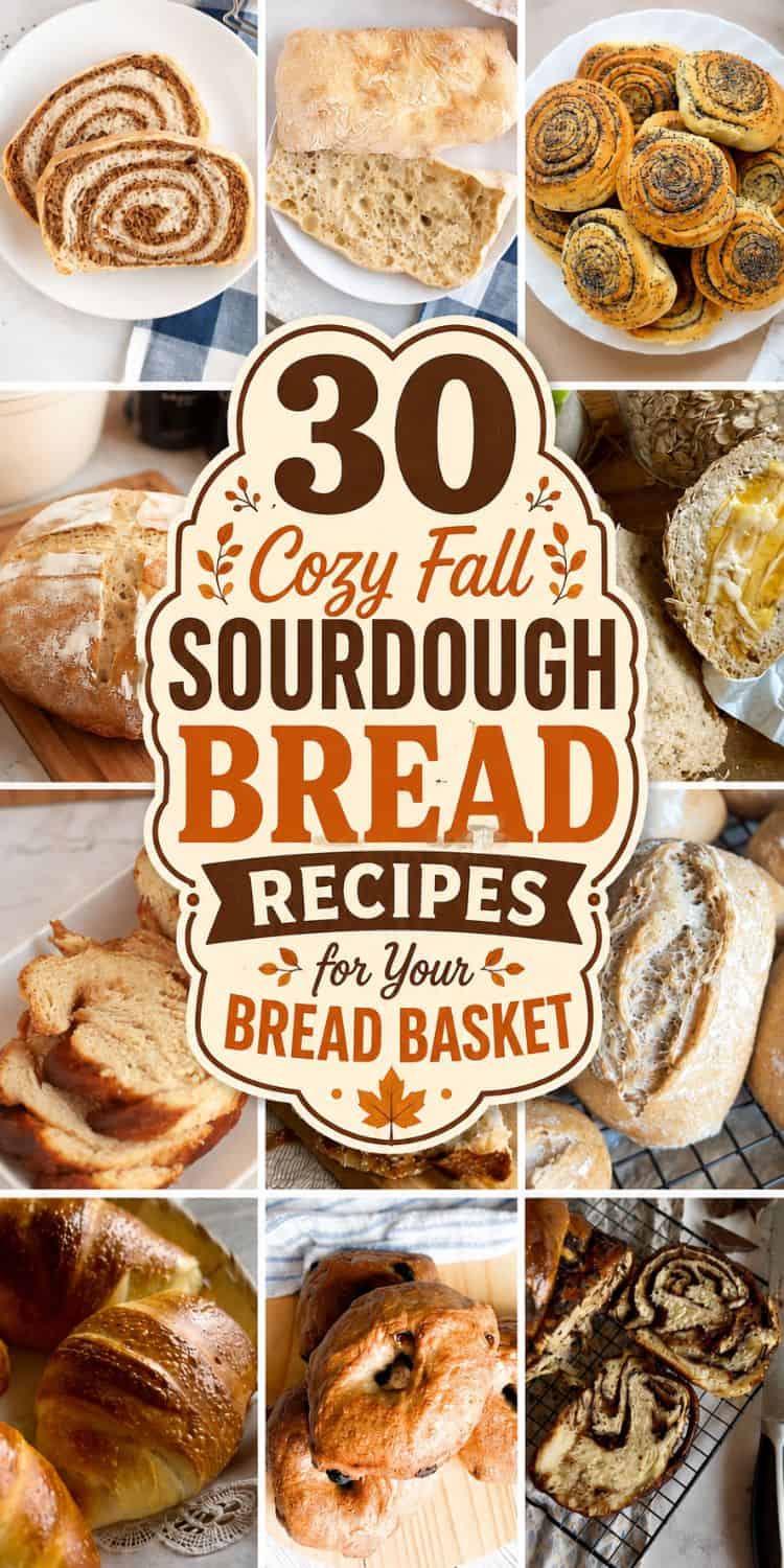 Assorted sourdough bread recipes for fall baking, including rolls, loaves, and pastries.