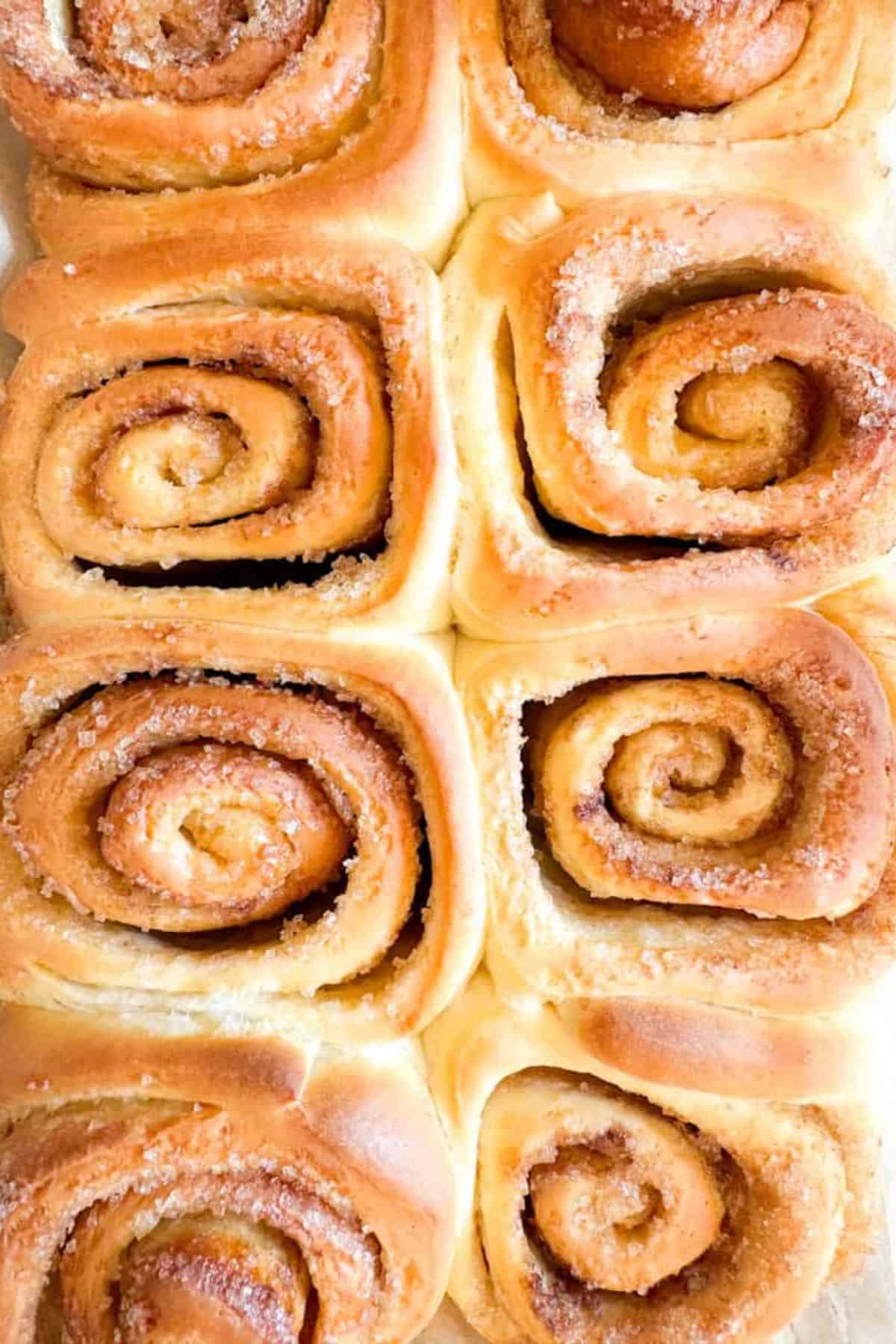 Close-up photo of cinnamon rolls in a baking pan.
