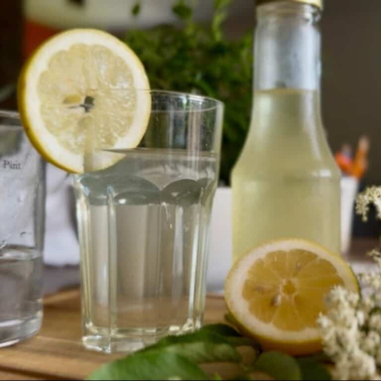 Elderflower syrup in a bottle and a glass with lemon, with elderflowers beside them.