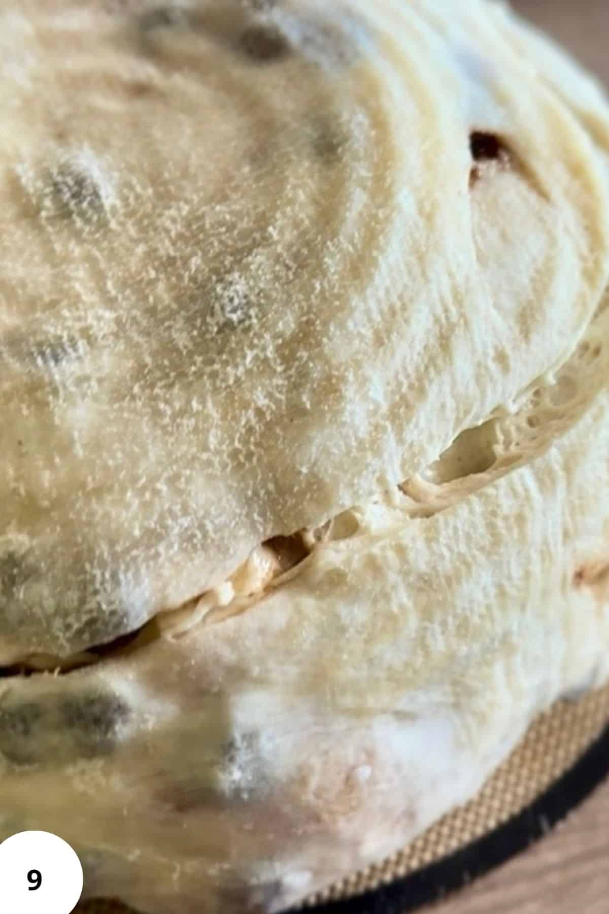 Close-up of a neatly shaped dough, showing its smooth, floured surface and defined form before baking.