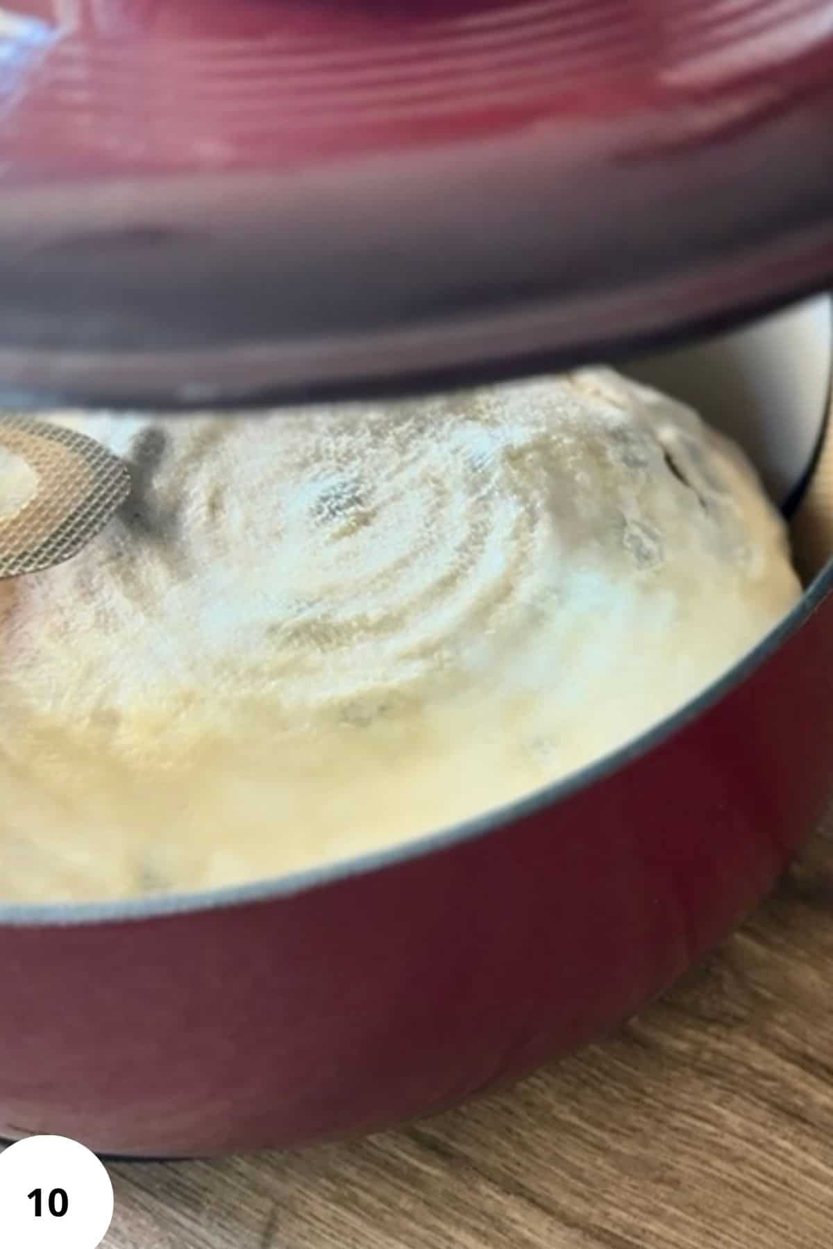 Dough resting in a Dutch oven on the stove.