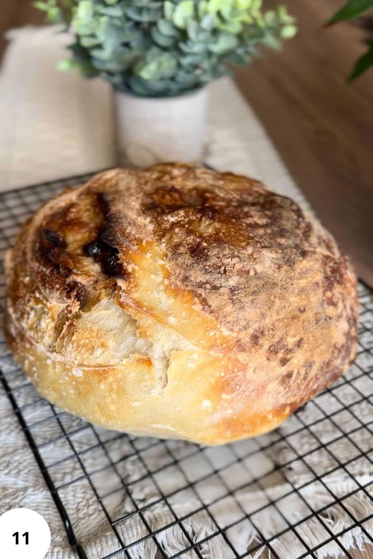 Dough resting on a cooling tray.