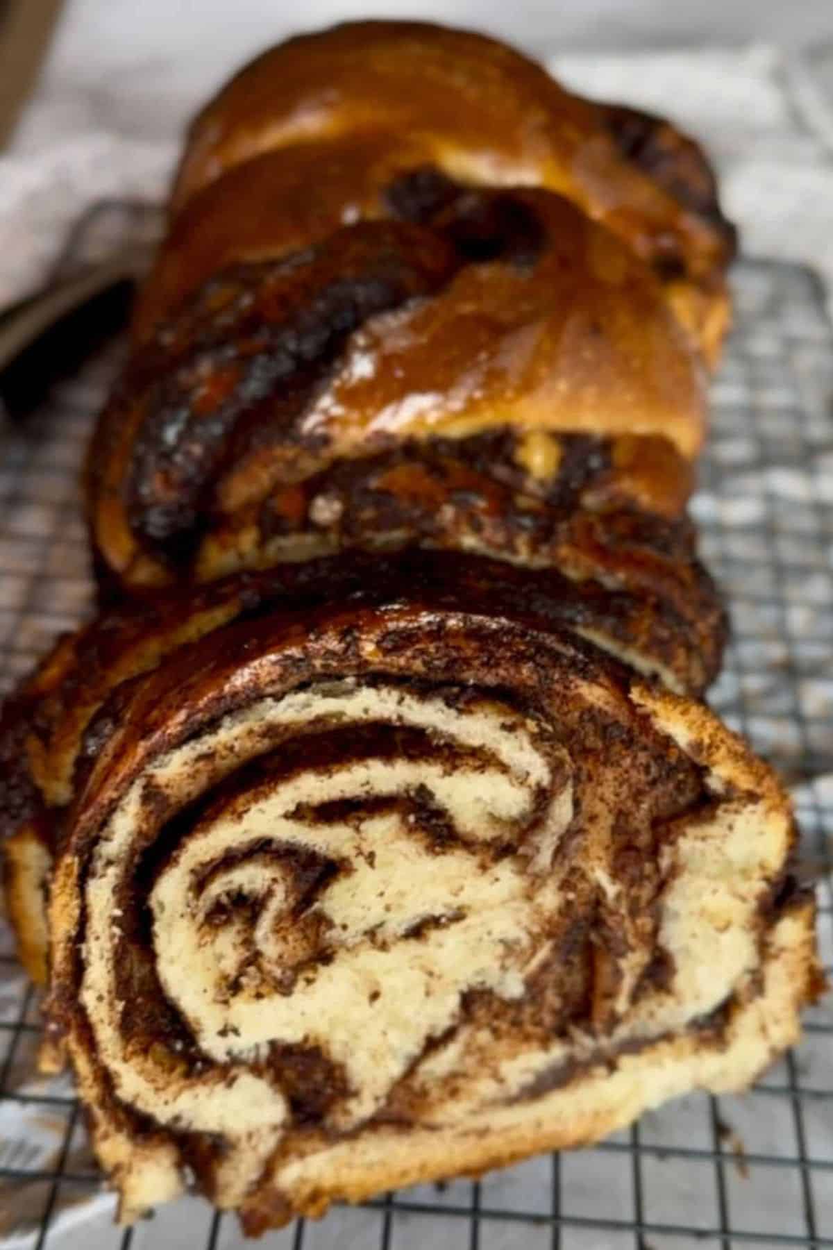 Double Chocolate Sourdough Babka