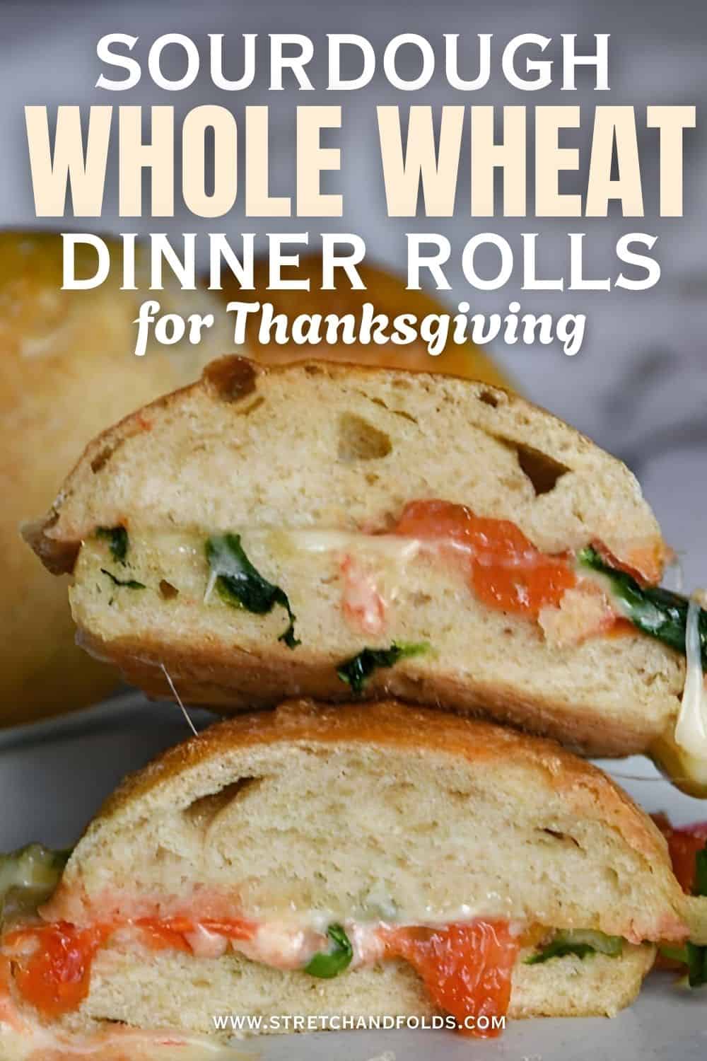 thanksgiving sourdough whole wheat dinner rolls