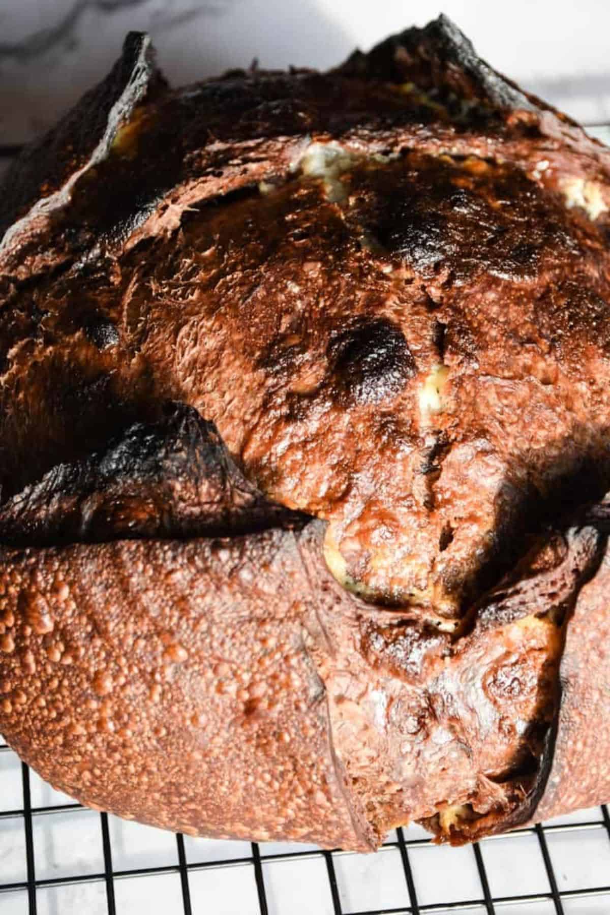Close-up of double chocolate sourdough bread with chocolate chips cooling on a wire rack, showing rich chocolate swirls and melted chips.