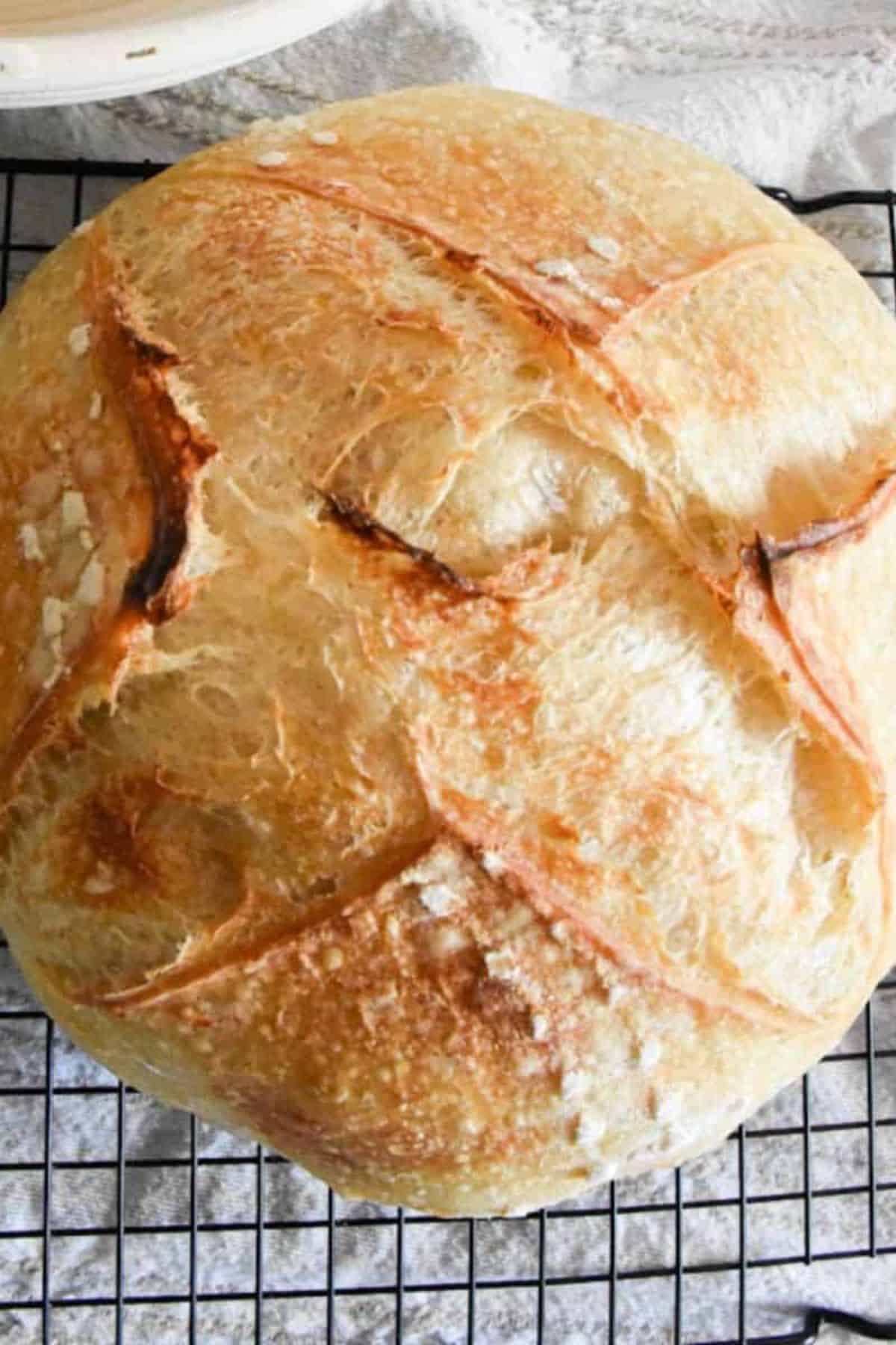 Sourdough bread on a cooling rack.