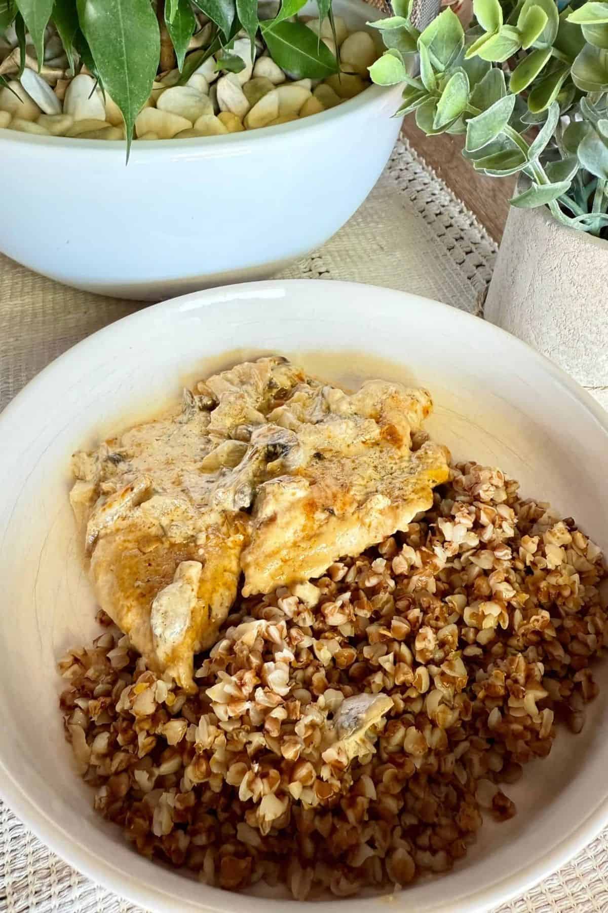 Chicken in Creamy Mushroom Sauce served in a bowl with Buckwheat Groats, garnished and styled with decorative plants on the side.