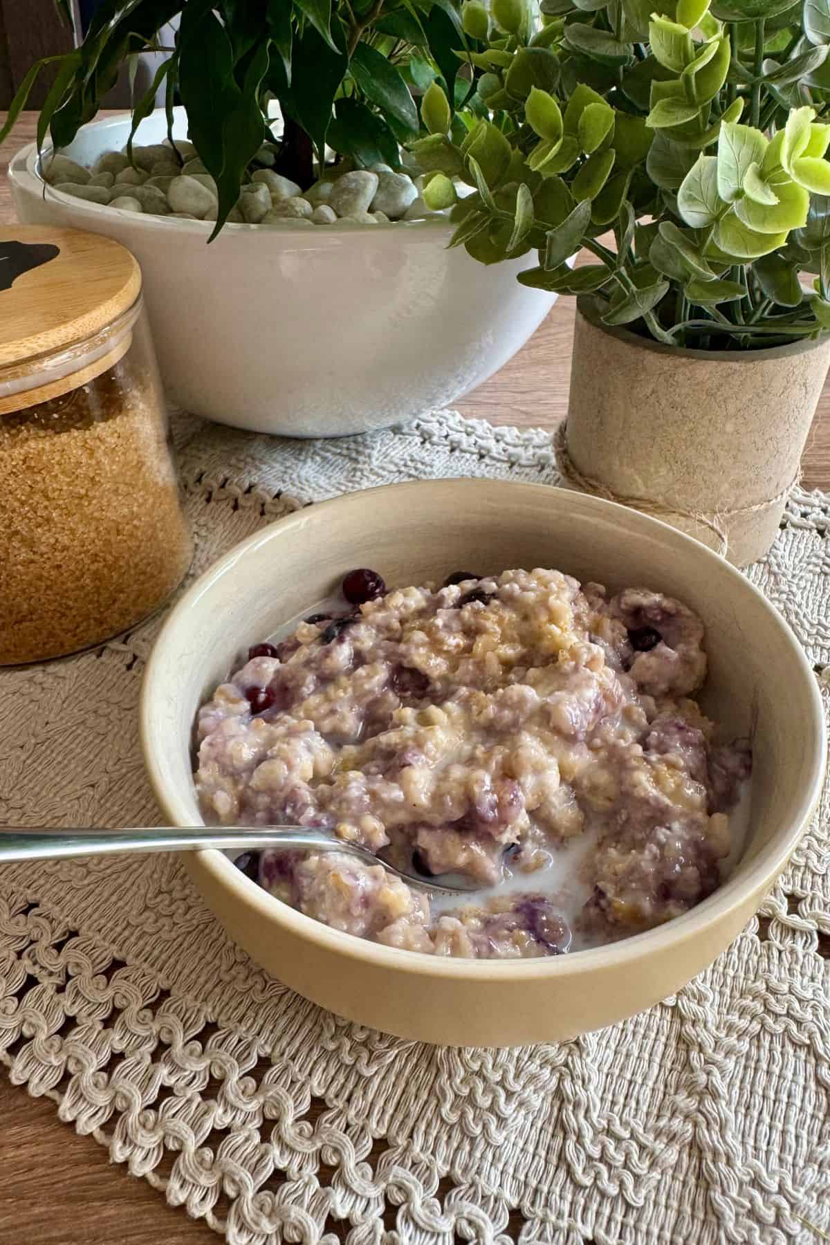 Blueberry oatmeal served in a bowl with a spoon, with decorative plants in the background.