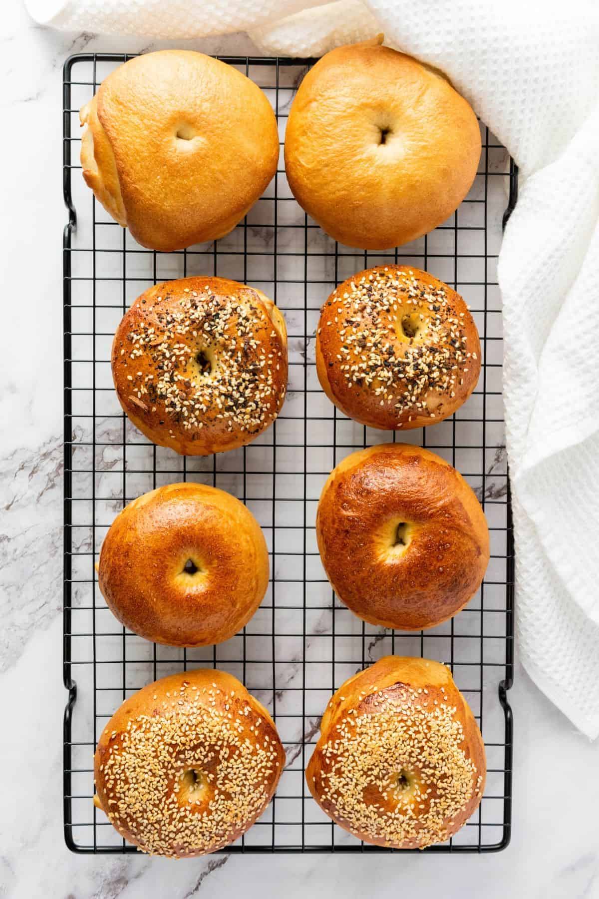 Donut-shaped bagels resting on a cooling rack.