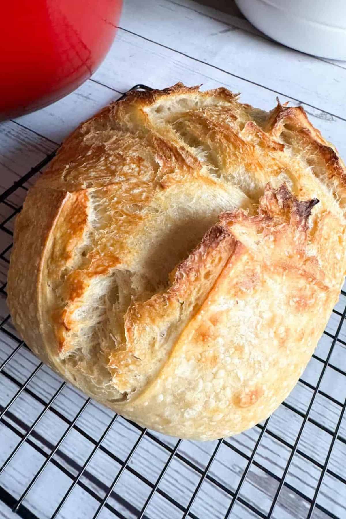Close-up photo of sourdough bread resting on a wire cooling rack.