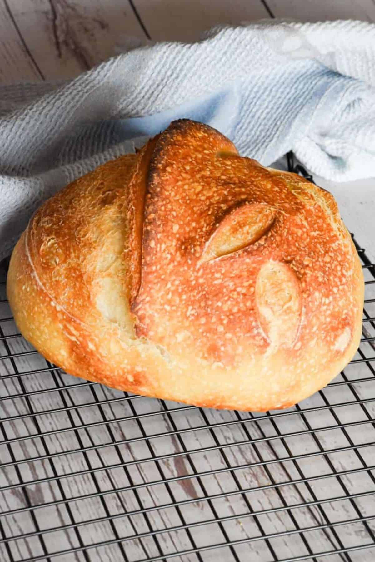 Sourdough bread resting on a wire cooling rack with a cloth underneath.