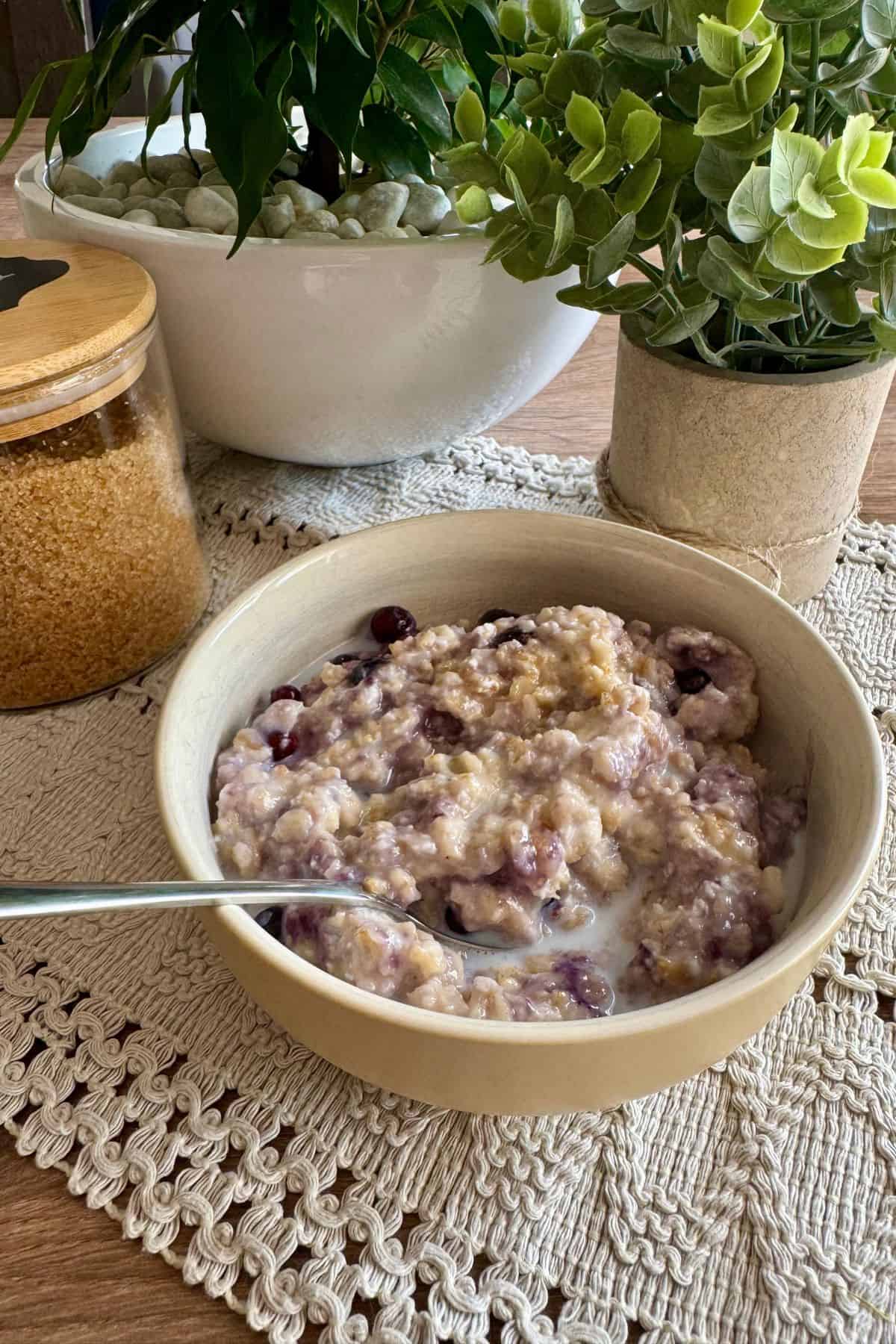 Blueberry oatmeal served in a bowl with a spoon, surrounded by decorative plants on the side.