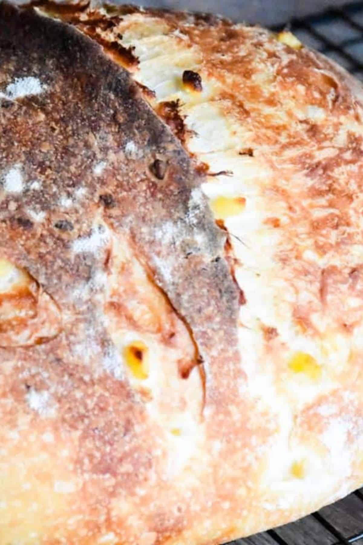 Close-up of freshly baked bread highlighting stretch and fold baking techniques.