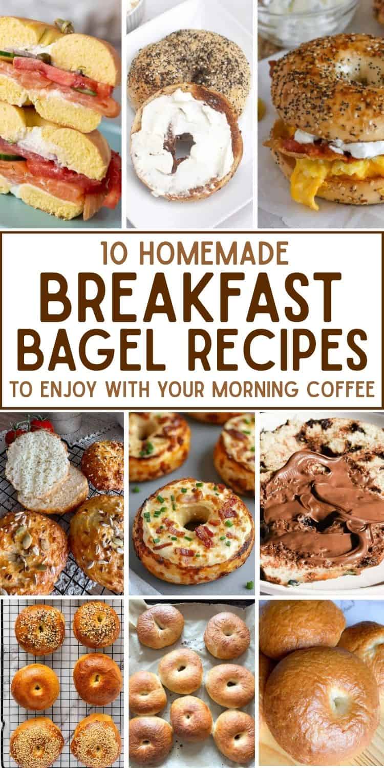 Assorted bakery-style sourdough bagels with various toppings and flavors.