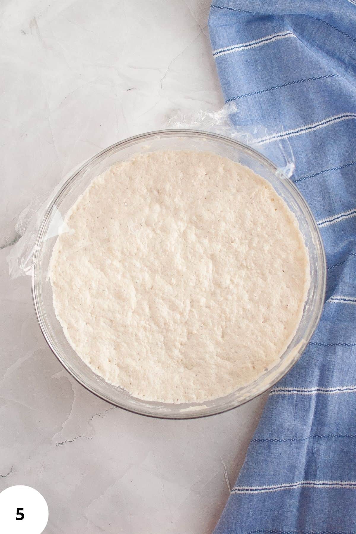 Active sourdough starter in a large bowl, partially covered with plastic on the edge.
