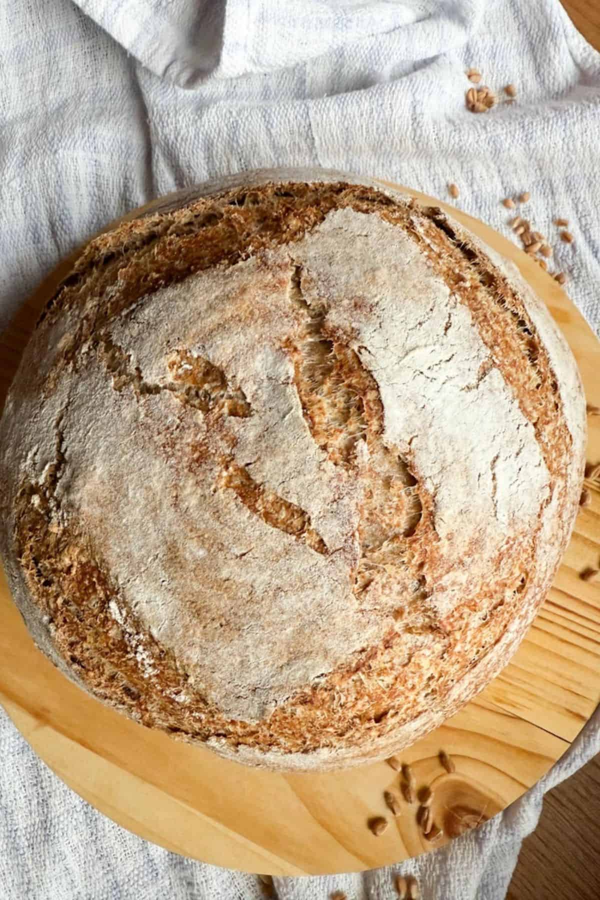 Freshly baked sourdough loaf resting on a rustic wooden board.