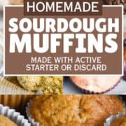 sourdough muffins