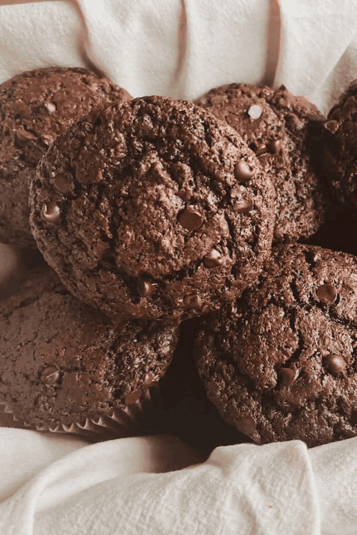 A close-up of rich, moist double chocolate sourdough muffins, showing a soft, tender crumb with gooey chocolate chunks throughout.