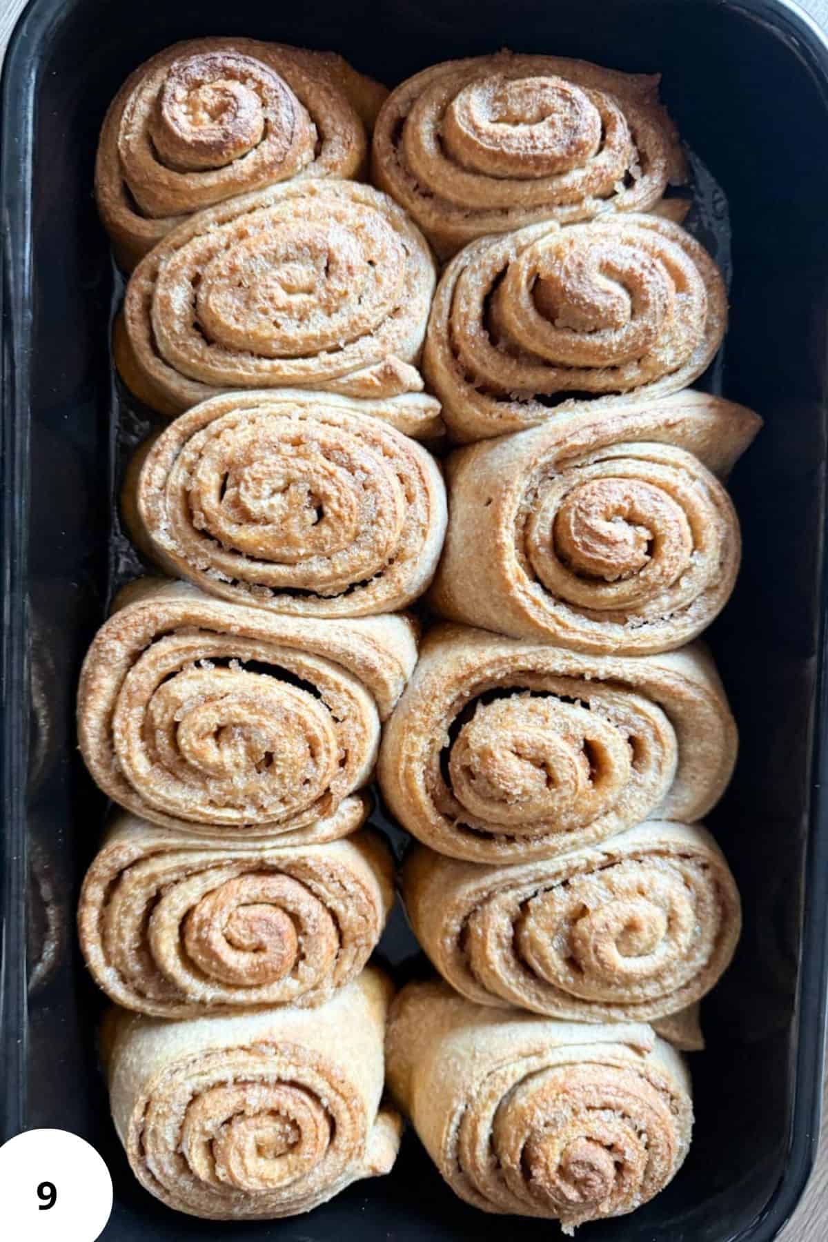 Close-up of unbaked whole grain sourdough cinnamon rolls, neatly swirled and ready to proof.