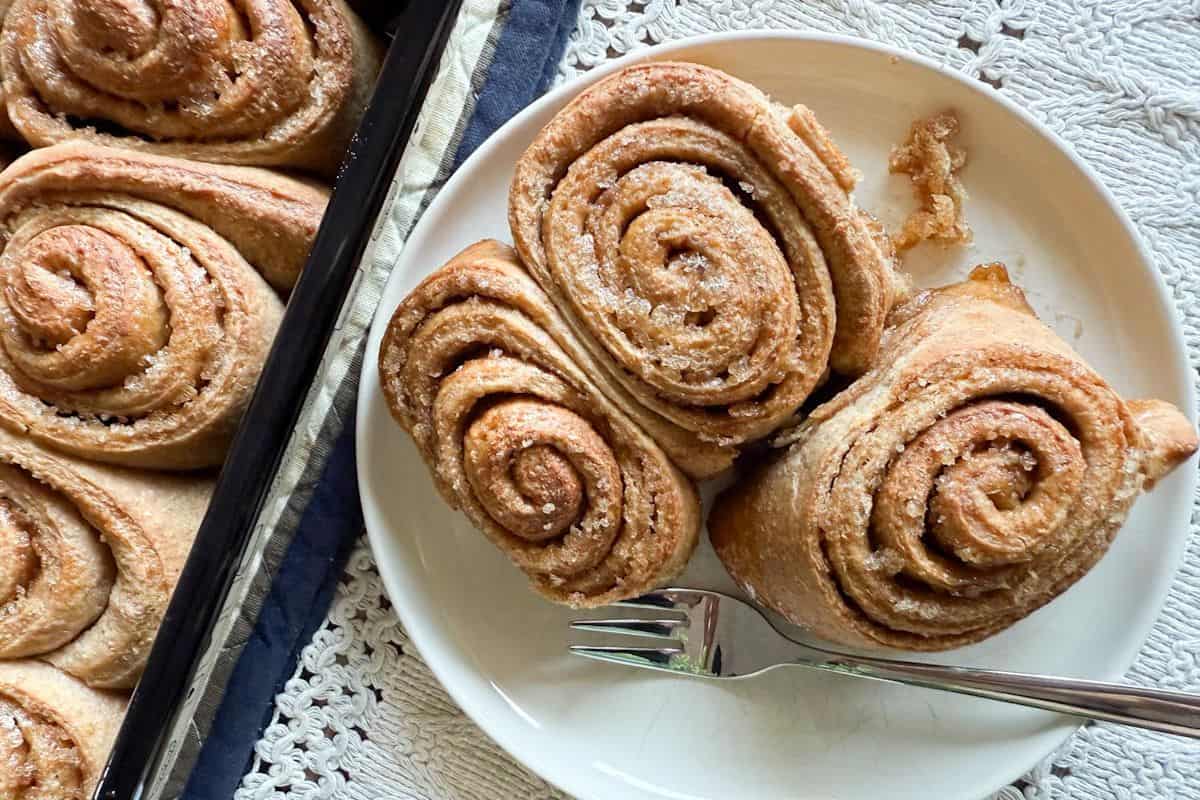 Close-up of unbaked whole grain sourdough cinnamon rolls arranged in a plate.