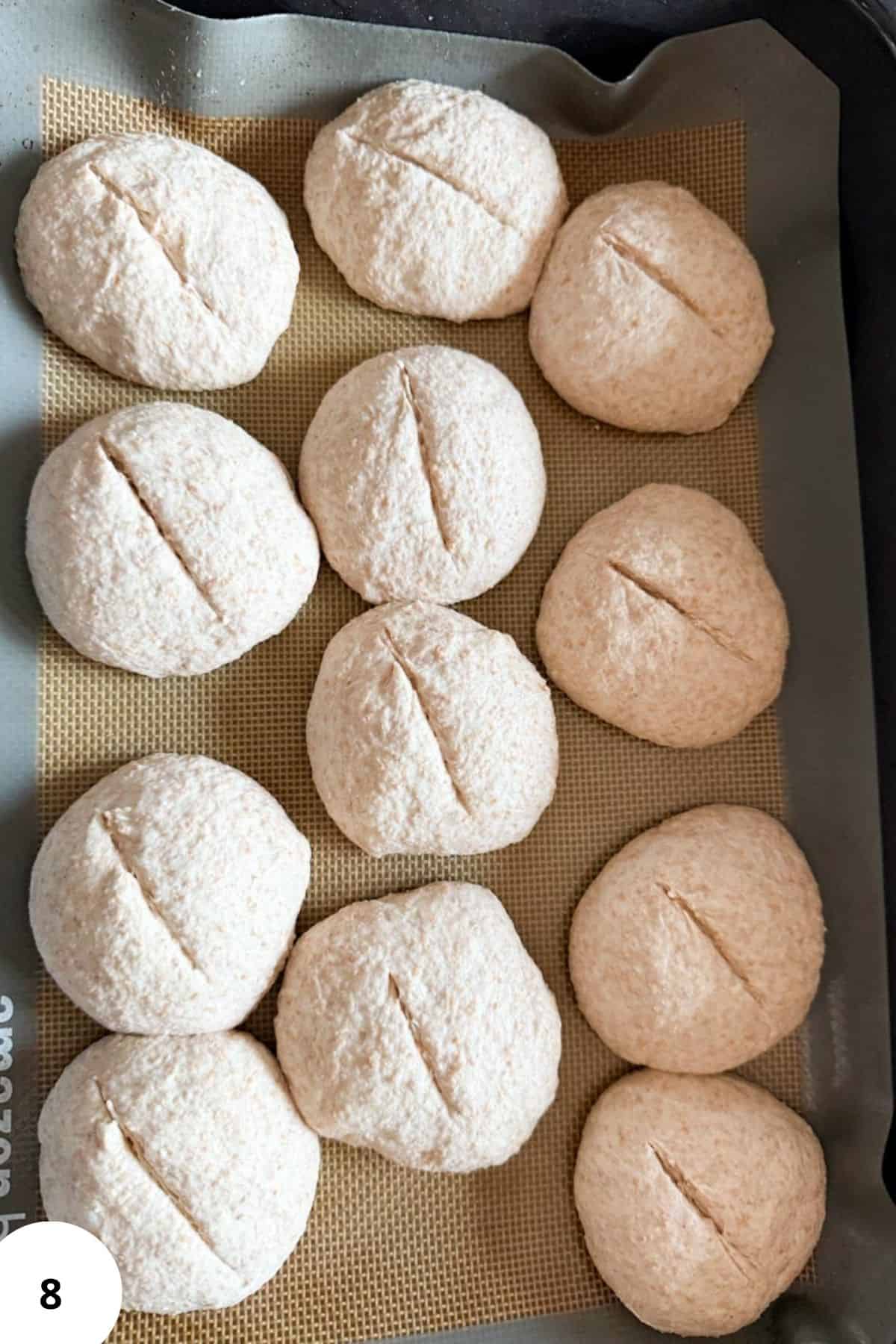 Unbaked sourdough rolls on a parchment-lined baking tray, each with a scored line down the center.